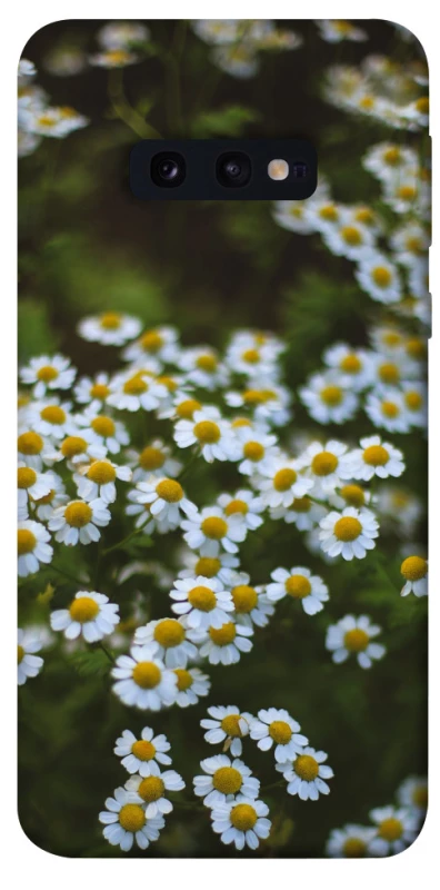Чохол на Samsung Galaxy S10e Ромашки v13 фото 1 з 1