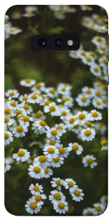 Чехол на Samsung Galaxy S10e Ромашки v13 фото 1 из 1