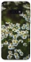 Чохол на Samsung Galaxy S10e Ромашки v13 фото 1 з 1