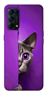 Чехол на Oppo Reno 5 4G Кот-подглядыватель фото 1 из 1