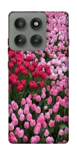 Чехол на Motorola Edge 60 Pro Flowers v9 фото 1 из 1