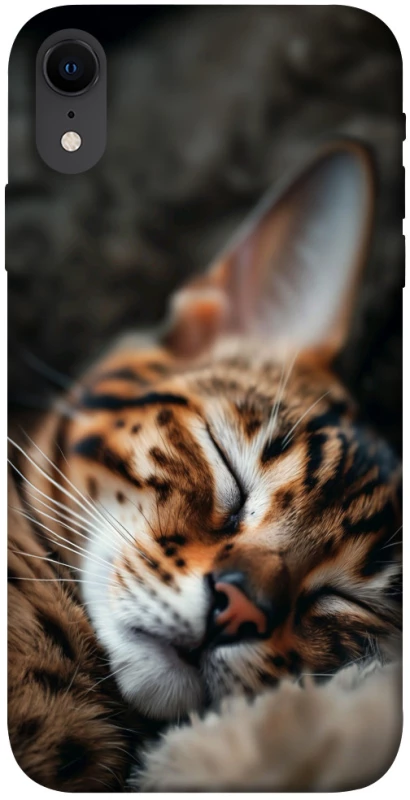 Чохол на Apple iPhone XR (6.1") Cat paws фото 1 з 1