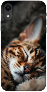 Чехол на Apple iPhone XR (6.1") Cat paws фото 1 из 1