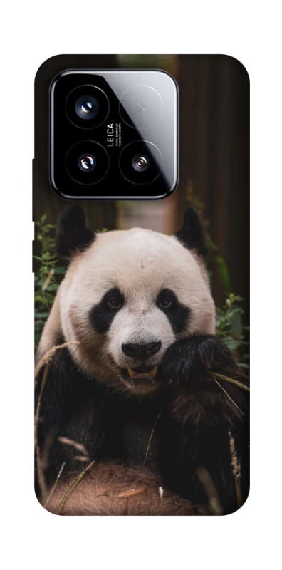 Чехол на Xiaomi 15 Панда фото 1 из 1