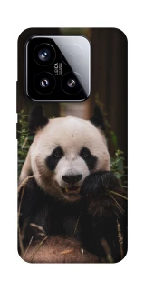 Чехол на Xiaomi 15 Панда фото 1 из 1