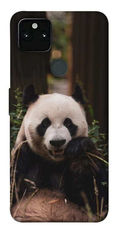 Чехол на Google Pixel 5A Панда фото 1 из 1
