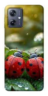 Чохол на Motorola Moto G54 Flowers v23 фото 1 Чохол на Motorola Moto G54 Flowers v23 фото 1 з 1