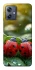 Чохол на Motorola Moto G54 Flowers v23 фото 1 Чохол на Motorola Moto G54 Flowers v23 фото 1 з 1