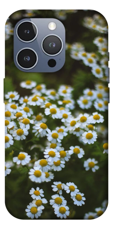 Чехол на Apple iPhone 16 Pro Max Ромашки v13 фото 1 из 1