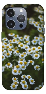 Чехол на Apple iPhone 16 Pro Max Ромашки v13 фото 1 из 1