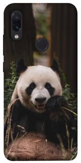 Чехол на Xiaomi Redmi Note 7 / Note 7 Pro / Note 7s Панда фото 1 из 1