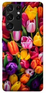 Чехол на Samsung Galaxy S21 Ultra Flowers v30 фото 1 из 1