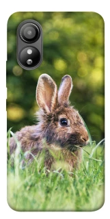 Чехол на ZTE Blade L220 Кролики фото 1 из 1