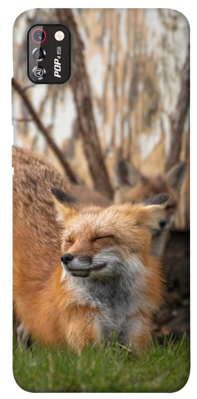 Чехол на TECNO POP 4 Pro Лиса фото 1 из 1