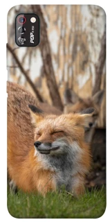 Чехол на TECNO POP 4 Pro Лиса фото 1 из 1