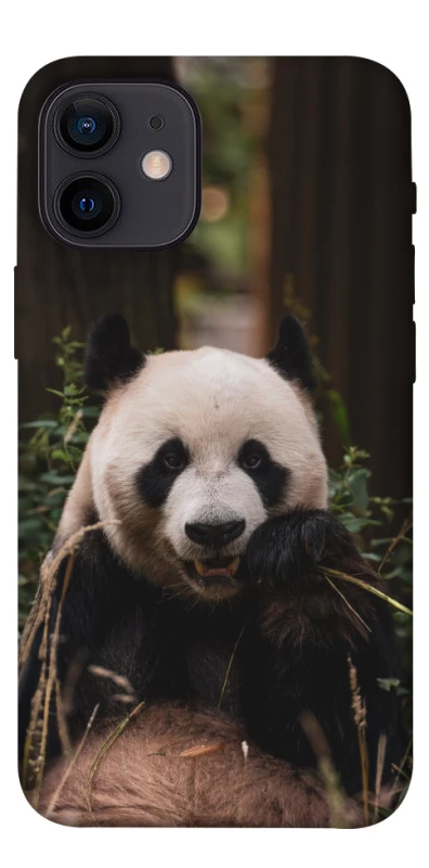 Чехол на Apple iPhone 12 mini (5.4") Панда фото 1 из 1