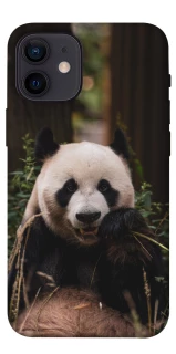 Чехол на Apple iPhone 12 mini (5.4") Панда фото 1 из 1