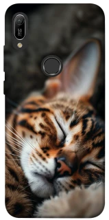 Чехол на Huawei Y6 (2019) Cat paws фото 1 из 1