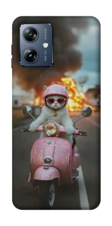 Чохол на Motorola Moto G54 Power Exploding Kittens ver.3 фото 1 з 1