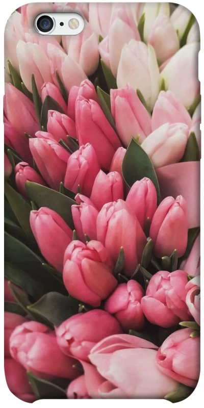 Чохол на Apple iPhone 6/6s plus (5.5") Flowers v3 фото 1 з 1