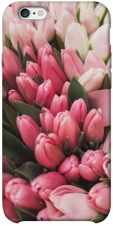 Чохол на Apple iPhone 6/6s plus (5.5") Flowers v3 фото 1 з 1