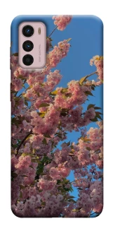 Чохол на Motorola Moto G42 Flowers v4 фото 1 з 1