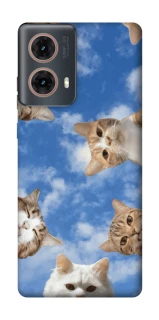 Чохол на Motorola Moto G85 Сats фото 1 з 1