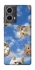 Чохол на Motorola Moto G85 Сats фото 1 з 1