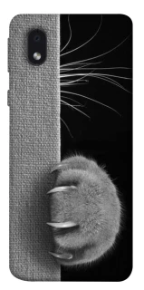 Чохол на Samsung Galaxy M01 Core / A01 Core Spy Cat фото 1 з 1