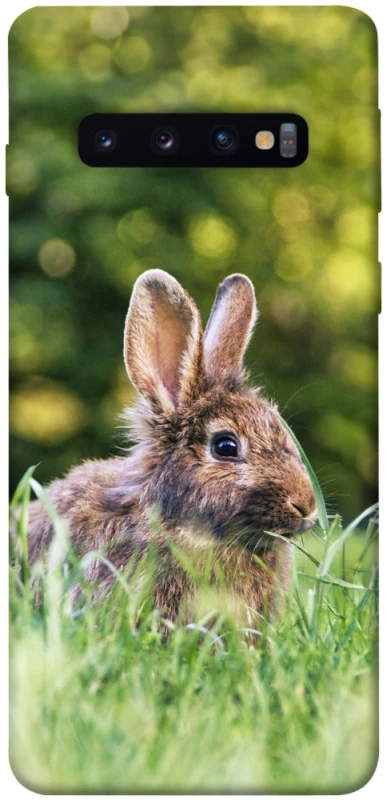 Чехол на Samsung Galaxy S10 Кролики фото 1 из 1