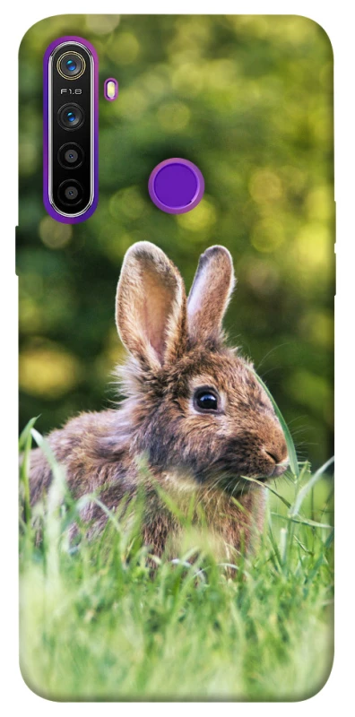 Чехол на Realme 5 Кролики фото 1 из 1