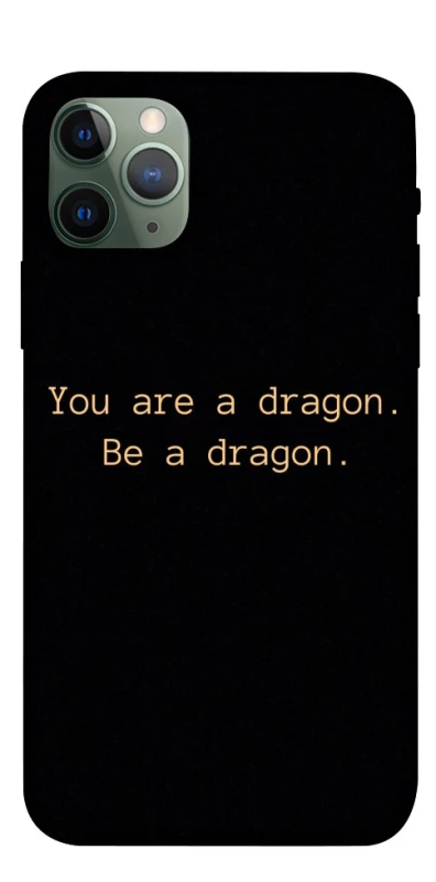 Чехол на Apple iPhone 11 Pro (5.8") House of the Dragon ver.9 фото 1 из 1