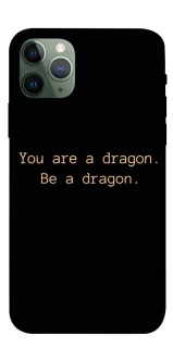 Чехол на Apple iPhone 11 Pro (5.8") House of the Dragon ver.9 фото 1 из 1