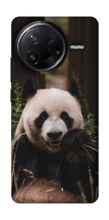 Чехол на Infinix Note 50 Pro Панда фото 1 из 1