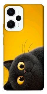 Чохол на Xiaomi Poco F5 / Note 12 Turbo This is Cat фото 1 з 1