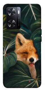 Чохол на OnePlus Nord N20 SE Fox фото 1 з 1