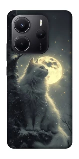 Чехол на Xiaomi Redmi Note 14 4G (Europe version) Кот под луной фото 1 из 1