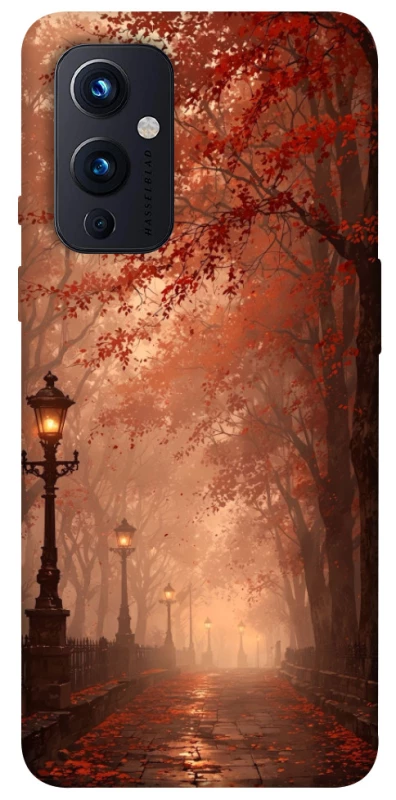 Чохол на OnePlus 9 boulevard фото 1 з 1