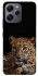 Чохол на Xiaomi Redmi 12 Leopard v4 фото 1 з 1