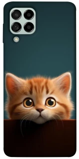 Чохол на Samsung Galaxy M53 5G Чохол Кошеня фото 1 з 1