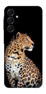 Чохол на Samsung Galaxy A16 4G/5G Leopard v2 фото 1 з 1