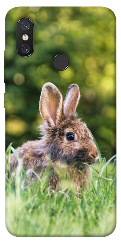 Чохол на Xiaomi Mi 8 Кролики фото 1 з 1