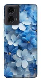 Чохол на Motorola Moto G24 Сині квіти фото 1 з 1