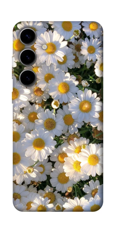 Чохол на Samsung Galaxy S25 Поле ромашок фото 1 з 1