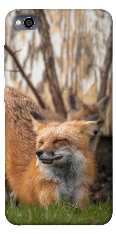 Чехол на Xiaomi Redmi 4a Лиса фото 1 из 1