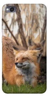 Чохол на Xiaomi Redmi 4a Лисиця фото 1 з 1