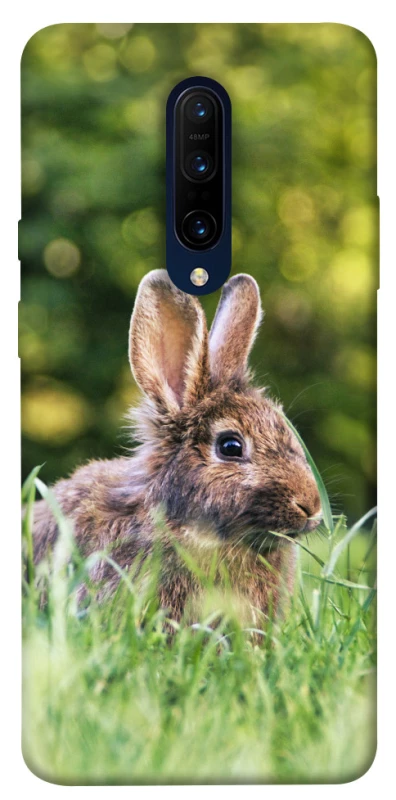 Чохол на OnePlus 7 Pro Кролики фото 1 з 1