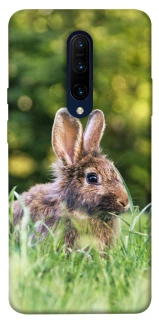 Чохол на OnePlus 7 Pro Кролики фото 1 з 1