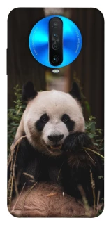 Чохол на Xiaomi Redmi K30 Панда фото 1 з 1