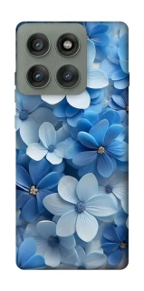 Чехол на Motorola Edge 60 Pro Синие цветы фото 1 из 1